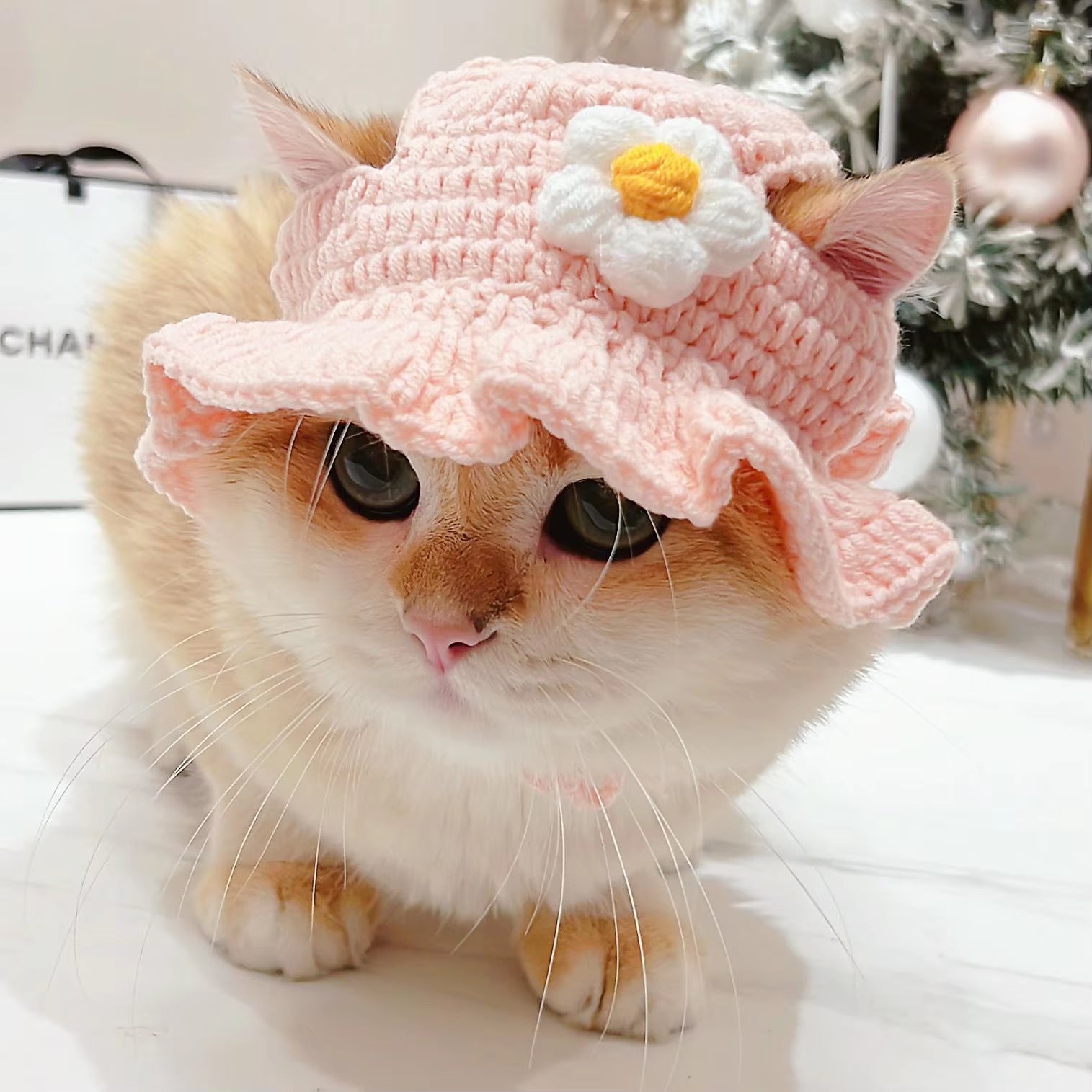 Cute Refined Cat Hat Elastic Autumn Winter Pet Hat Puppy Kittens
